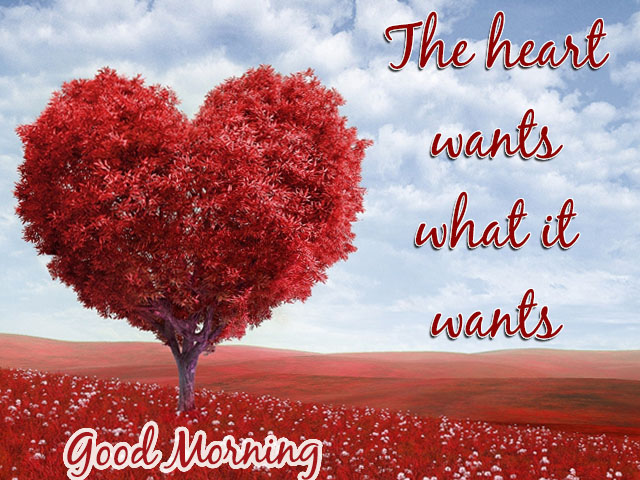 Heart Good Morning Love Images