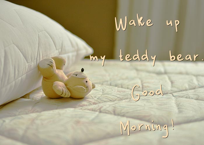 Good Morning My Teddy