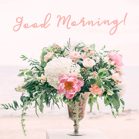 Good Morning Lovely Flowers