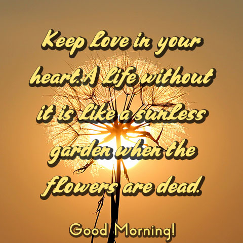 Good Morning Love Flowers