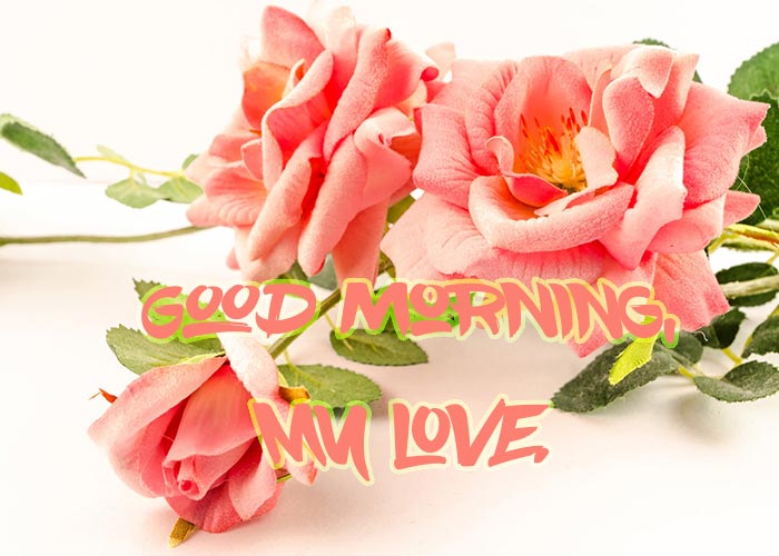 Good Morning My Love