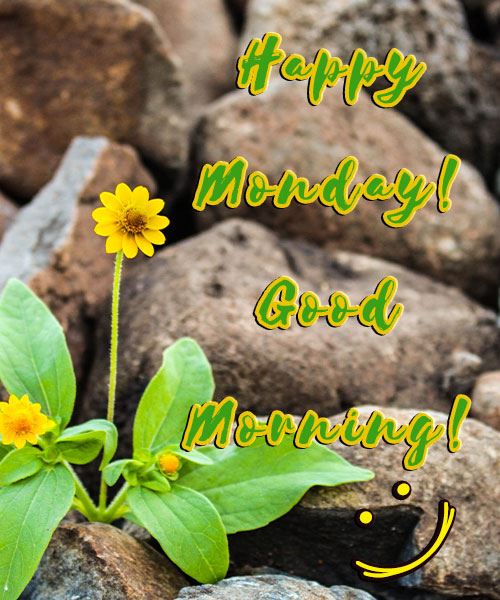Happy Good Morning Monday Images