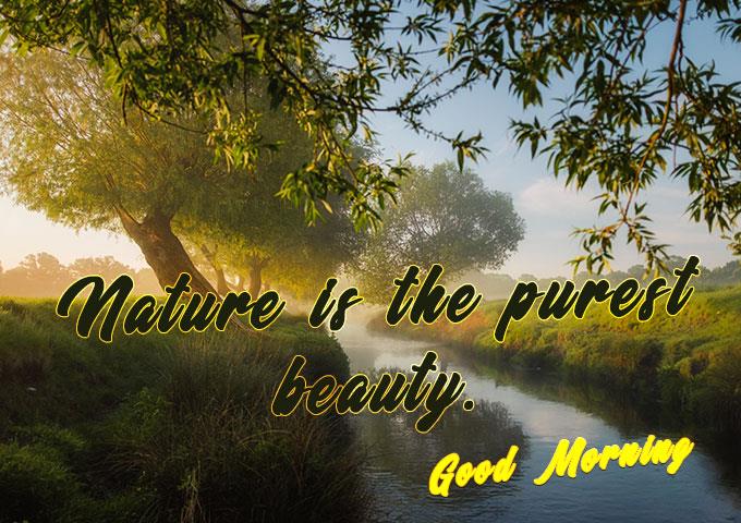 Good Morning Nature Image 11