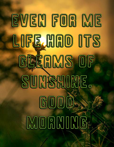 Good Morning Sunshine 7