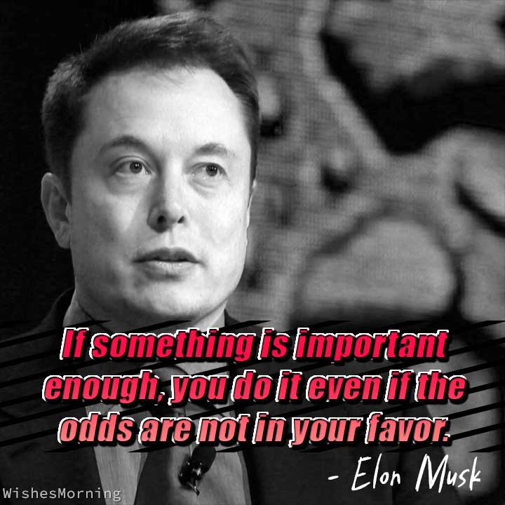 Elon Musk Quotes 1