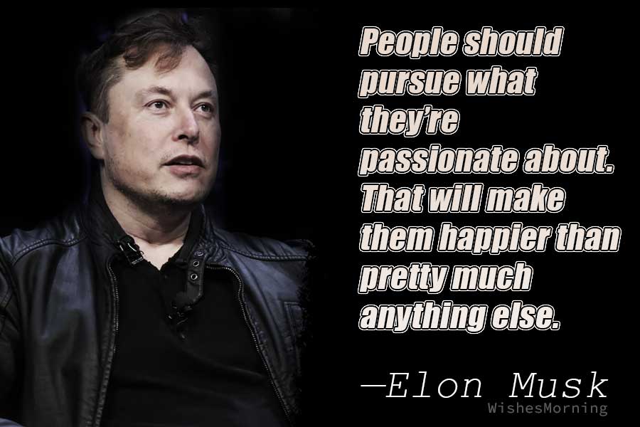 Elon Musk Quotes 11