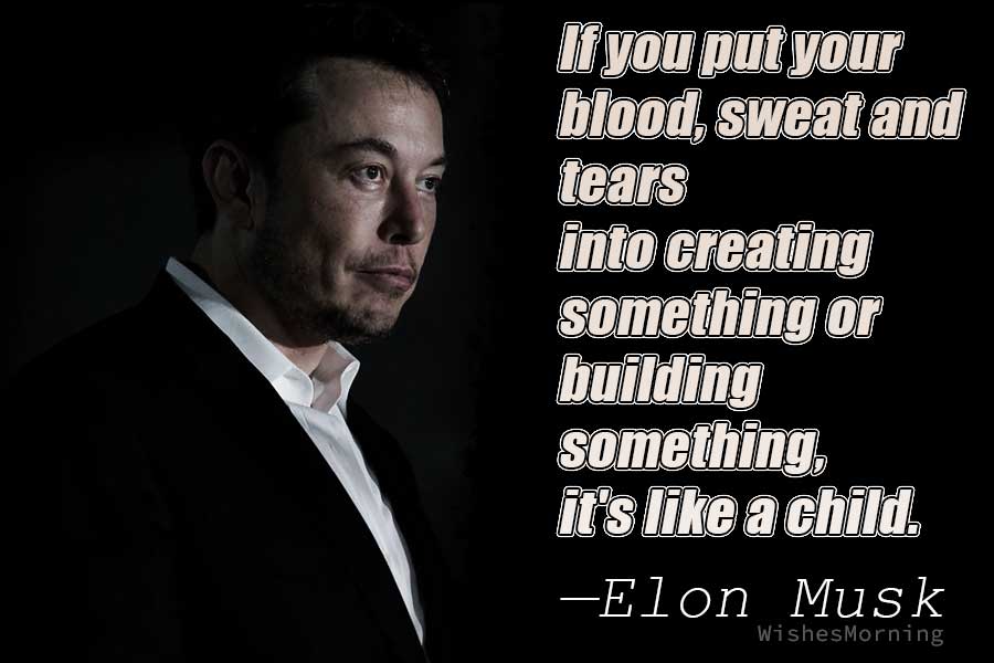 Elon Musk Quotes 6