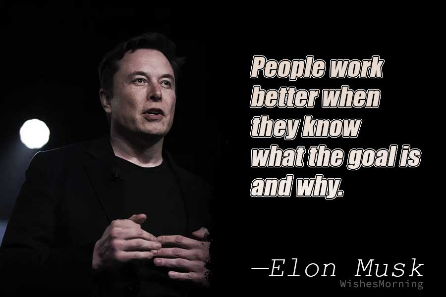 Elon Musk Quotes 7