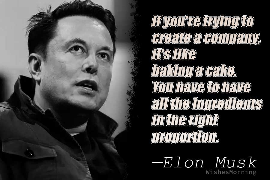 Elon Musk Quotes 9